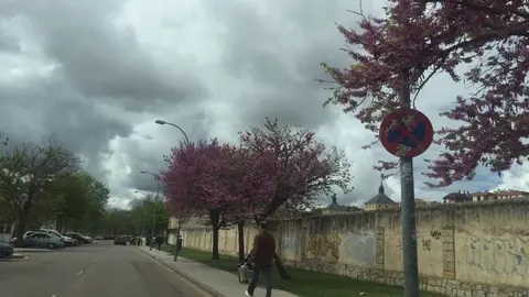 Zamora en un día lluvioso