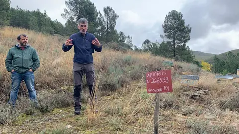Colmenas en el Parque de Montesinho