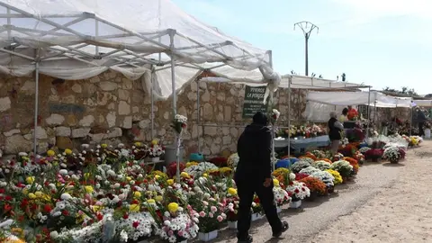 CEMENTERIO (6)