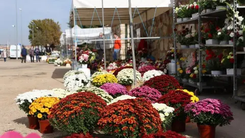 CEMENTERIO (2)