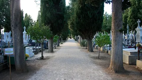 cementerio Toro (3)