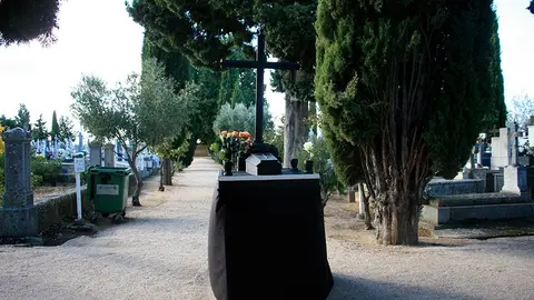 cementerio Toro (5)