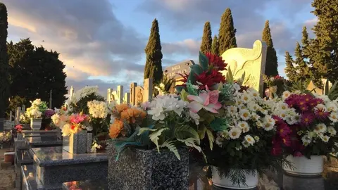 coreses cementerio zamora