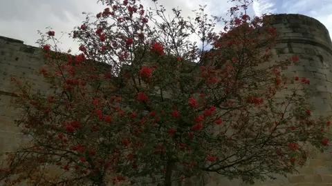 sanabria otoño visitantes (24)