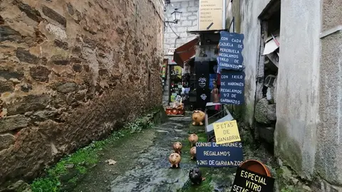 sanabria otoño visitantes (55)