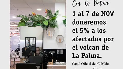 Carmen Rebollo solidaridad con La Palma