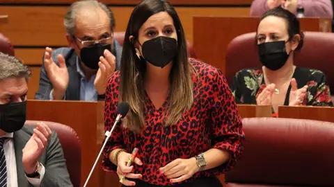 La Coordinadora de Familia del Grupo Socialista en las Cortes de Castilla y León, Nuria Rubio