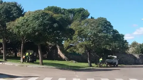 Operarios trabajando en los jardines de Zamora