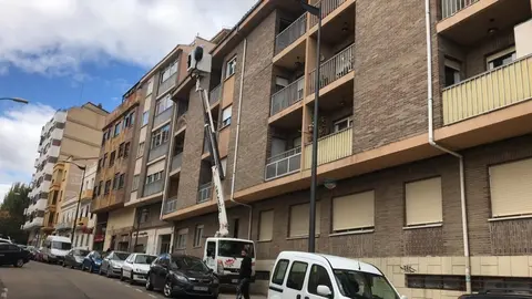 Los bomberos retiran el nido de avispas