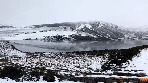 nieve