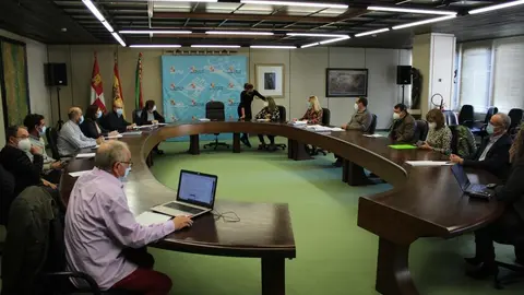 La delegada territorial en la Comisión Territorial de Medio Ambiente y u...