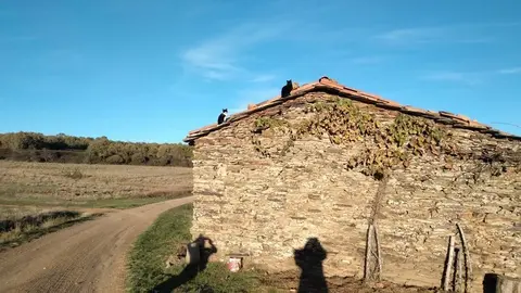 San Juan del Rebollar