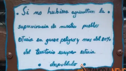 WhatsApp Image 2021-11-08 at 09.36.04 (3)