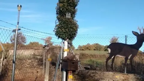 WhatsApp Image 2021-11-08 at 09.36.06 (1)