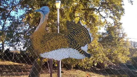 WhatsApp Image 2021-11-08 at 09.36.06