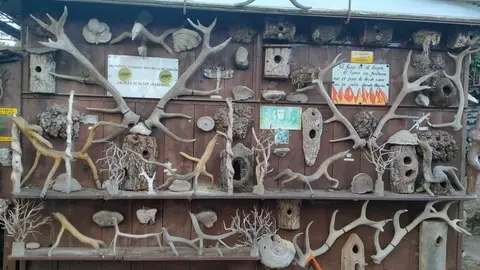 WhatsApp Image 2021-11-08 at 09.36.59 (2)