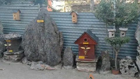 WhatsApp Image 2021-11-08 at 09.36.59 (3)