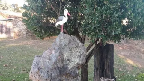 WhatsApp Image 2021-11-08 at 09.36.59 (4)