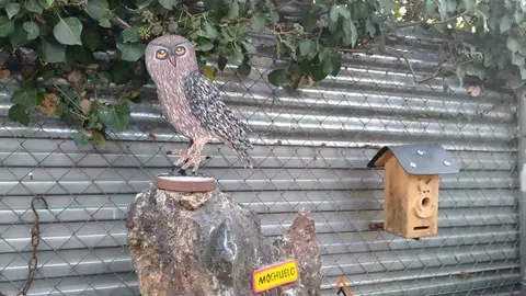 WhatsApp Image 2021-11-08 at 09.36.59 (5)