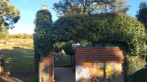 WhatsApp Image 2021-11-08 at 09.37.00 (1)