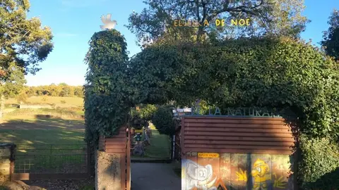 WhatsApp Image 2021-11-08 at 09.37.00 (4)