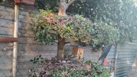 WhatsApp Image 2021-11-08 at 09.37.01 (1)