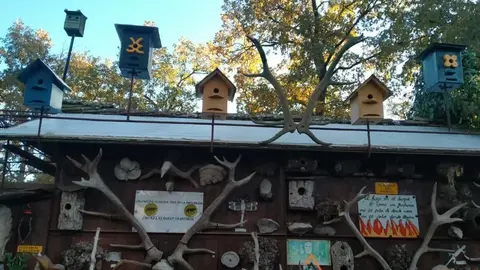 WhatsApp Image 2021-11-08 at 09.37.01 (2)