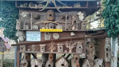 WhatsApp Image 2021-11-08 at 09.37.01