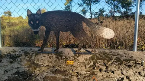 WhatsApp Image 2021-11-08 at 09.37.02 (2)