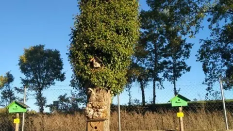 WhatsApp Image 2021-11-08 at 09.37.02 (3)