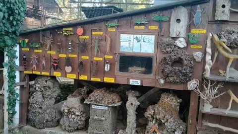 WhatsApp Image 2021-11-08 at 09.37.02