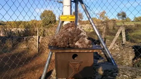 WhatsApp Image 2021-11-08 at 09.37.03 (1)