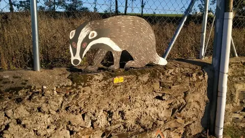 WhatsApp Image 2021-11-08 at 09.37.03 (3)