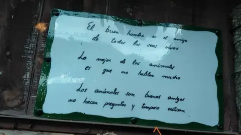 WhatsApp Image 2021-11-08 at 09.37.03 (4)