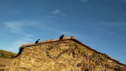 WhatsApp Image 2021-11-08 at 09.37.04 (1)