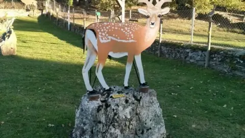 WhatsApp Image 2021-11-08 at 09.37.04 (5)