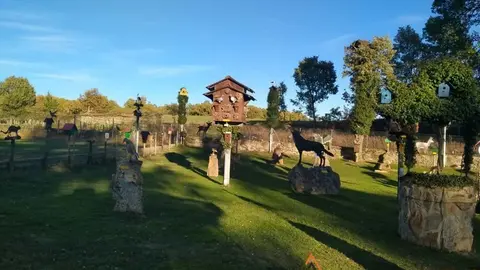 WhatsApp Image 2021-11-08 at 09.37.05