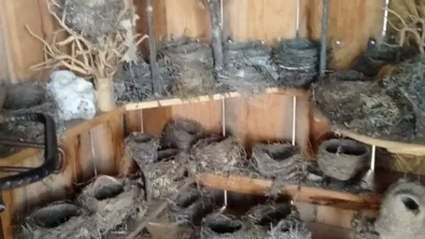 WhatsApp Image 2021-11-08 at 09.37.06 (2)