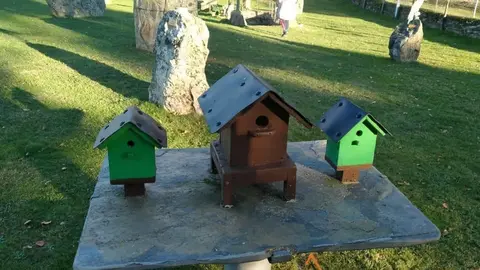 WhatsApp Image 2021-11-08 at 09.37.06 (3)