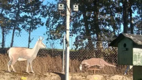 WhatsApp Image 2021-11-08 at 09.38.12