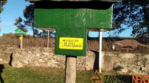 WhatsApp Image 2021-11-08 at 09.39.46