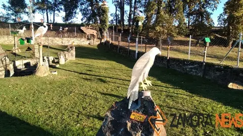 WhatsApp Image 2021-11-08 at 09.41.50