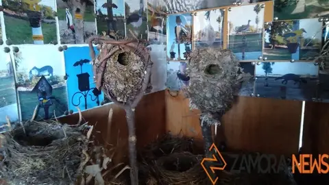 WhatsApp Image 2021-11-08 at 09.42.55