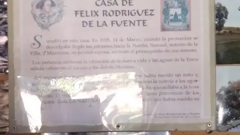 WhatsApp Image 2021-11-08 at 09.43.25