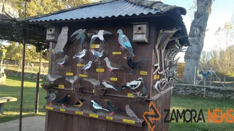 WhatsApp Image 2021-11-08 at 09.45.24