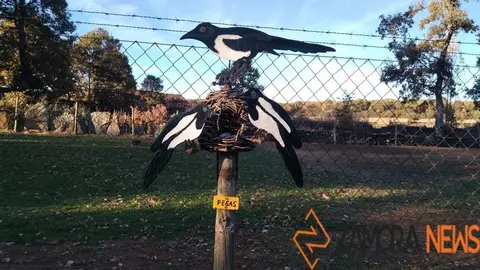 WhatsApp Image 2021-11-08 at 09.45.49