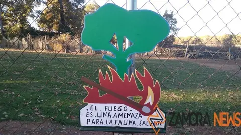 WhatsApp Image 2021-11-08 at 09.46.14