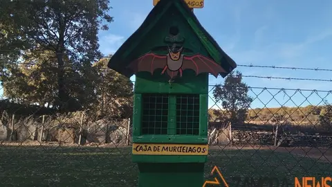 WhatsApp Image 2021-11-08 at 09.46.39