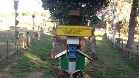 WhatsApp Image 2021-11-08 at 09.53.07