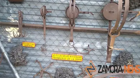 WhatsApp Image 2021-11-08 at 09.56.04